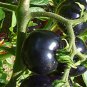 Imported European Black Big Tomato 300 PCS Seeds