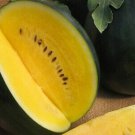 Hybrid Black Skin Round Shape Yellow Meat Seedless Watermelon 10 PCS Seeds Hybrid Black Skin Round Shape Yellow Meat Seedless Watermelon 10 PCS Seeds