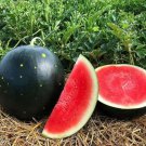Hybrid Black Skin Oval Shape Watermelon 10 PCS Seeds Hybrid Black Skin Oval Shape Watermelon 10 PCS Seeds