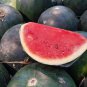 Hybrid Black Skin Oval Shape Watermelon 10 PCS Seeds