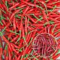 Hunan Red Dried Chili 300 PCS Seeds