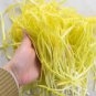Hotbed Chives Chinese Yellow Chives NON-GMO Great Vegetables 50 PCS Seeds