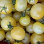 Heirloom White Cherry Tomato Organic Fresh Fruit Vegetables 100 PCS Seeds