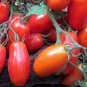 Heirloom Ukraine Kibits Tomato 50 PCS Seeds