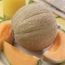 Heirloom Super Big Elizabeth Orange Yellow Sweet Melon Hybrid 10 PCS Seeds Heirloom Super Big Elizabeth Orange Yellow Sweet Melon Hybrid 10 PCS Seeds