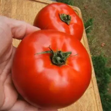 Heirloom 'Strawberry' Tomato 100 PCS Seeds