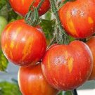 Heirloom Red Zebra Tomato with Golden Stripe Organic 100 PCS Seeds Heirloom Red Zebra Tomato with Golden Stripe Organic 100 PCS Seeds