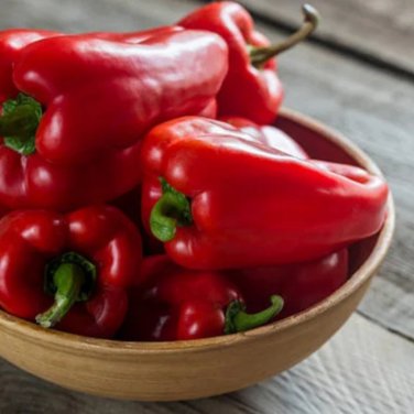 Heirloom Red Long Sharp Sweet Bell Pepper 20 PCS Seeds