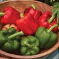 Heirloom Red Long Sharp Sweet Bell Pepper 20 PCS Seeds