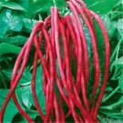 Heirloom Red Long Cowpea Vegetable Hybrid 15 PCS Seeds Heirloom Red Long Cowpea Vegetable Hybrid 15 PCS Seeds