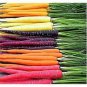 Rainbow Yellow White Purple Orange Red Carrot Vegetable Mixed 100 PCS Seeds