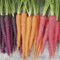 Rainbow Yellow White Purple Orange Red Carrot Vegetable Mixed 100 PCS Seeds