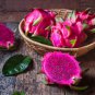 Heirloom Purple Dragon Fruit 50 PCS Seeds