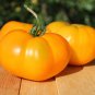 Heirloom Organic Yellow Truss Tomato Middle-sized Fruits Tasty 100 PCS Seeds