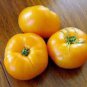 Heirloom Organic Yellow Truss Tomato Middle-sized Fruits Tasty 100 PCS Seeds