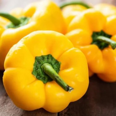 Heirloom Organic Green Bell Sweet Pepper 40 PCS Seeds