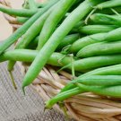 Heirloom Organic Green Arrow Pea Vegetable 500 PCS Seeds Heirloom Organic Green Arrow Pea Vegetable 500 PCS Seeds