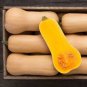 Heirloom Nutter Butter Squash Vegetable Organic 10 PCS Seeds