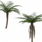 Exotic Bottle Palm Bonsai Tropical Ornamental Tree Plant 20 PCS Seeds