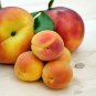 Erly Red Sweet Peach Fruit 1 PCS Seeds