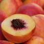 Erly Red Sweet Peach Fruit 1 PCS Seeds