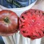 Eluosi' Cherokee Purple Giant Tomato 100 PCS Seeds