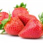 Elan F1 Strawberry 100 PCS Seeds