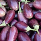 Eggplant Bright Purple Long Vegetables 100 PCS Seeds Eggplant Bright Purple Long Vegetables 100 PCS Seeds