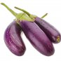 Eggplant Bright Purple Long Vegetables 100 PCS Seeds