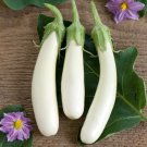Eggplant Heirloom Moon White Long Hybrid Vegetables 700 PCS Seeds
