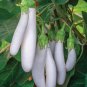 Eggplant Heirloom Moon White Long Hybrid Vegetables 700 PCS Seeds