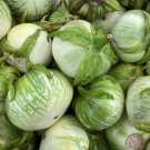 Eggplant Little Green Vegetable 60 PCS Seeds