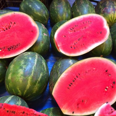 Early-maturing 'landmine' Round Red Organic Watermelon 8 PCS Seeds