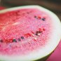 Early-maturing 'landmine' Round Red Organic Watermelon 8 PCS Seeds