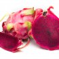 Dragon Fruit Pitaya Red (White, Yellow) Organic 100 PCS Seeds