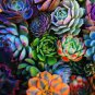 Echeveria Green Red Pink Yellow Colorful Succulent Plants 200 PCS Seeds
