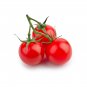 Dolce Vita Organic Cherry Tomato 100 PCS Seeds