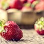Different Strawberry 12 PCS Seeds