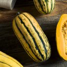Delicata Little Sweet Squash Organic 10 PCS Seeds