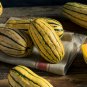 Delicata Little Sweet Squash Organic 10 PCS Seeds