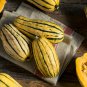 Delicata Little Sweet Squash Organic 10 PCS Seeds