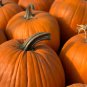 Deeply Ribbed Pumpkin 100 PCS Seeds