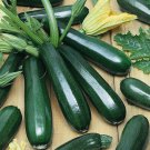 Dark Green Zucchini Summer Squash Bonsai Vegetables 8 CS Seeds