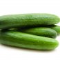 Dark Green Little Cucumber Hybrid F1 50 PCS Seeds