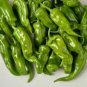 Dark Green Horn Pepper Vegetable 50 PCS Seeds