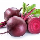 Dark Red Beetroot Cylindra Vegetables 30 PCS Seeds Dark Red Beetroot Cylindra Vegetables 30 PCS Seeds