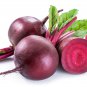 Dark Red Beetroot Cylindra Vegetables 30 PCS Seeds