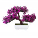 Dark Red Apple Flowering Plant Bonsai Tree 10 PCS Seeds Dark Red Apple Flowering Plant Bonsai Tree 10 PCS Seeds