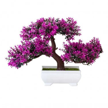 Dark Red Apple Flowering Plant Bonsai Tree 10 PCS Seeds
