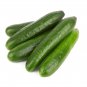 Dark Green Cucumber 25 PCS Seeds